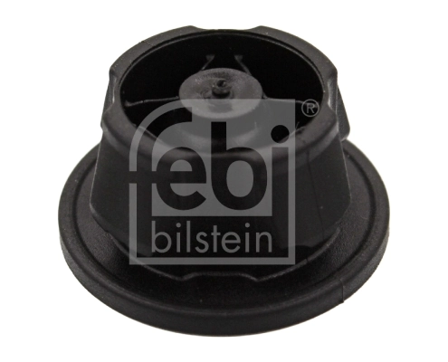 Fastening Element, engine cover